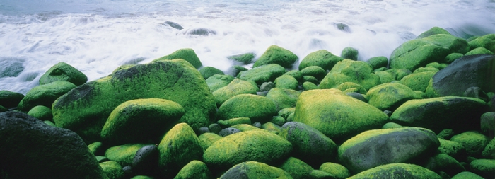 kauai_072pan.jpg