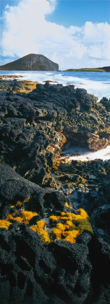 oahu_111pan.jpg